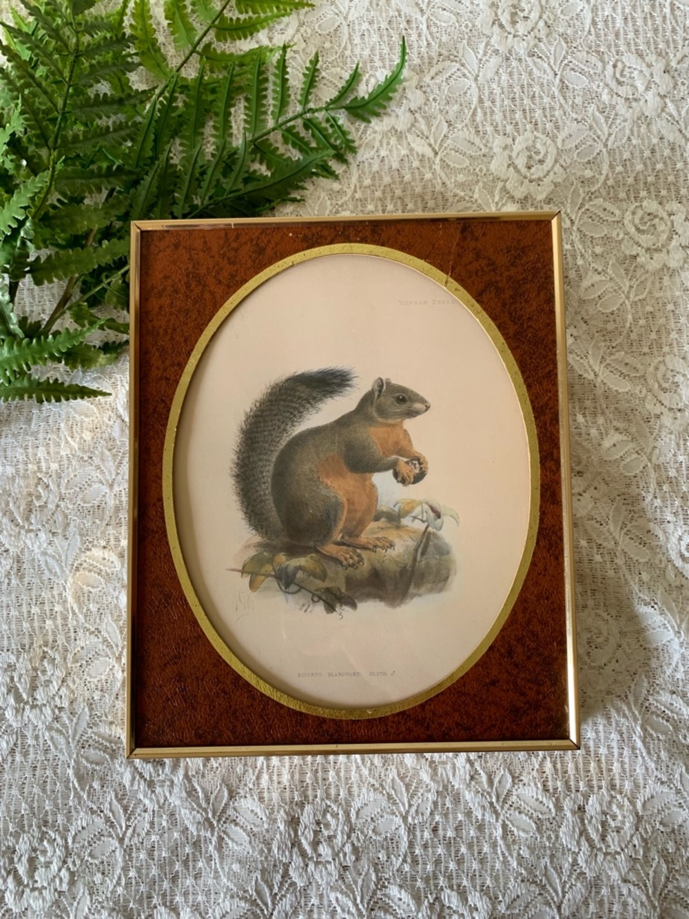Vintage Brass Oval Framed Squirrel Decor 8x10